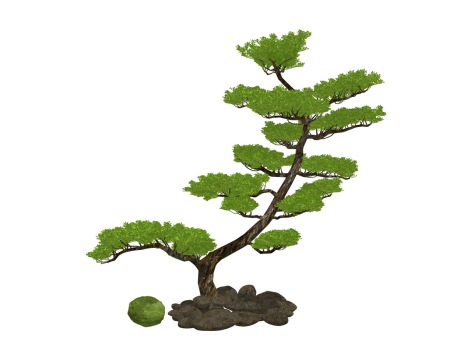 景观树SU模型