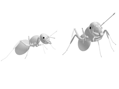 蚂蚁雕塑SU模型