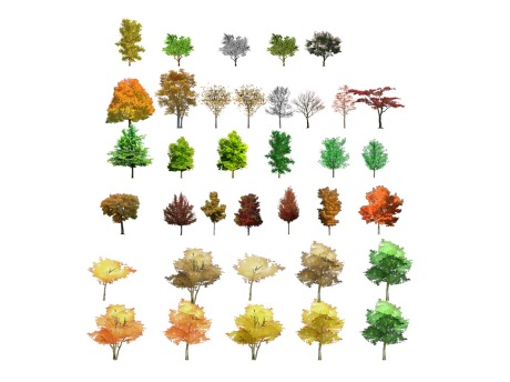 2D植物树组合SU模型