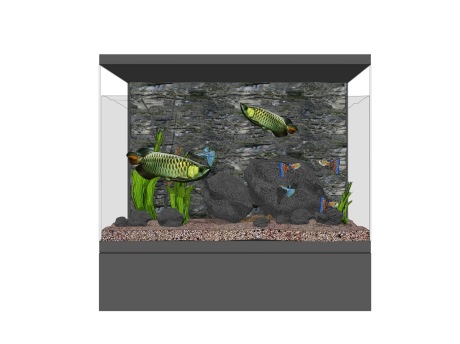 鱼缸水族SU模型