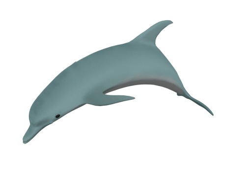海豚SU模型