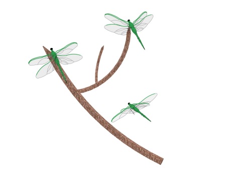 蜻蜓SU模型