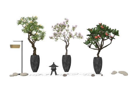 中式盆栽盆景组合SU模型