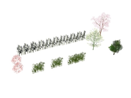 竹子植物树组合SU模型