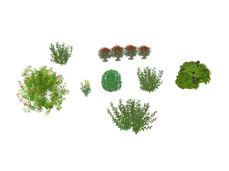 3D灌木花草组合SU模型