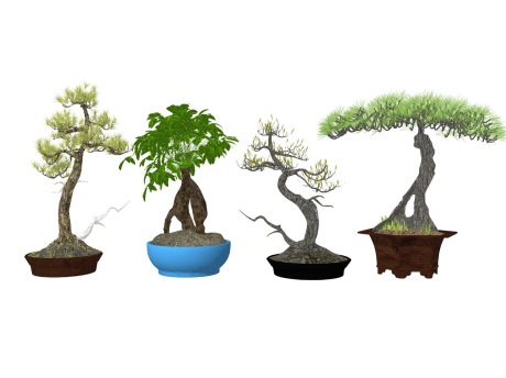 新中式松树盆栽组合SU模型