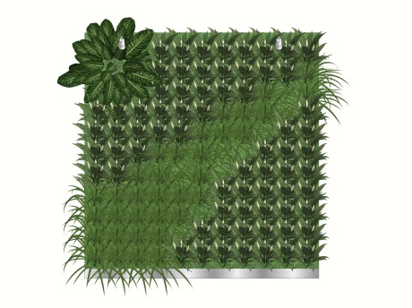 绿植墙SU模型