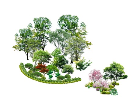 景观植物组合SU模型