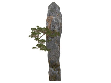 石头松树SU模型