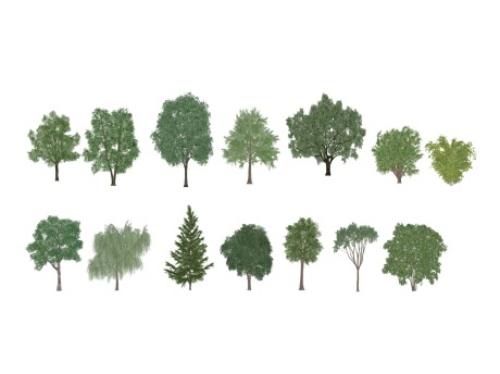 3D植物树组合SU模型