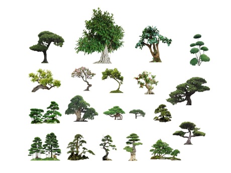 2D造型树SU模型