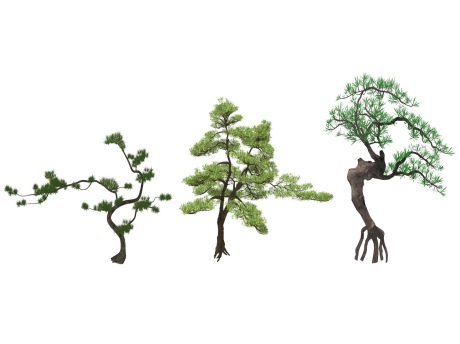 3D松树迎客松造型松SU模型