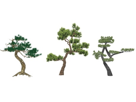 3D松树迎客松造型松组合SU模型