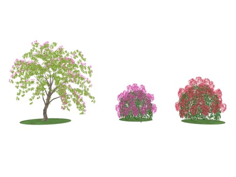 3D灌木叶子花树叶子花球SU模型