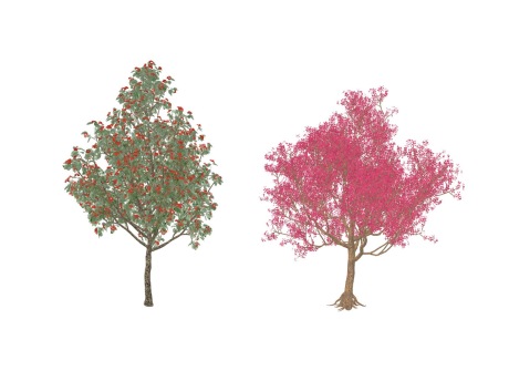 3D红色树红花树SU模型
