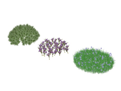 3D花草SU模型