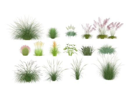 3D草本水生植物SU模型