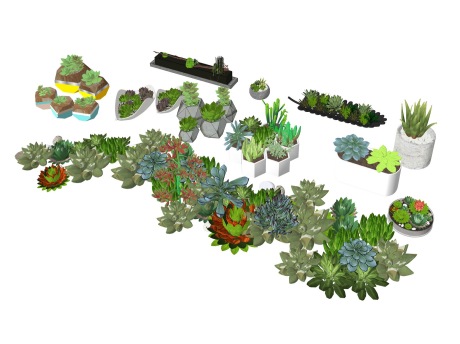 3D草本多肉植物SU模型