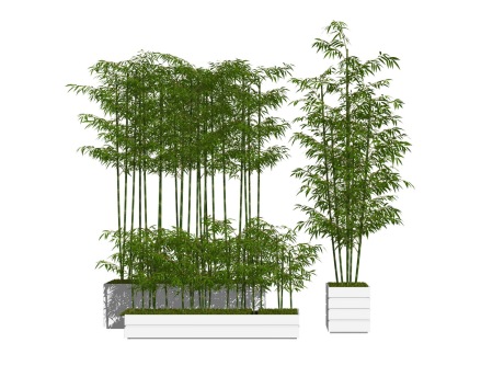 3D竹子盆栽SU模型