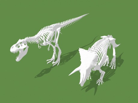 恐龙骨架SU模型