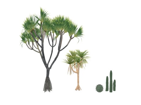 3D热带植物树仙人掌SU模型