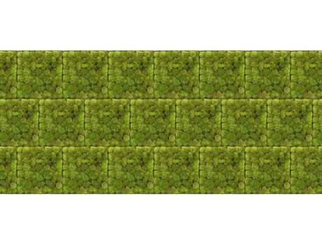 苔藓植物墙SU模型
