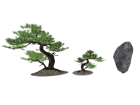 3D松树石头SU模型