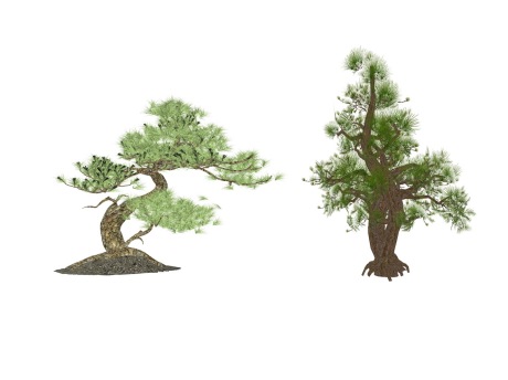3D造型松松树SU模型