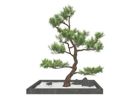 3D造型松松树SU模型