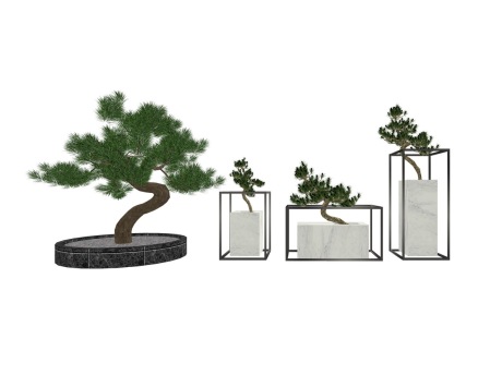 中式罗汉松造型松盆栽SU模型