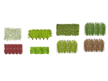 3D灌木绿篱SU模型