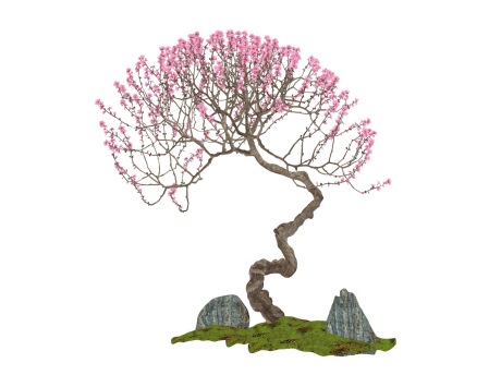 梅花树SU模型