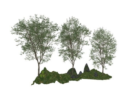 3D树SU模型