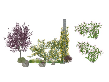 3D藤本月季花树灌木组合SU模型