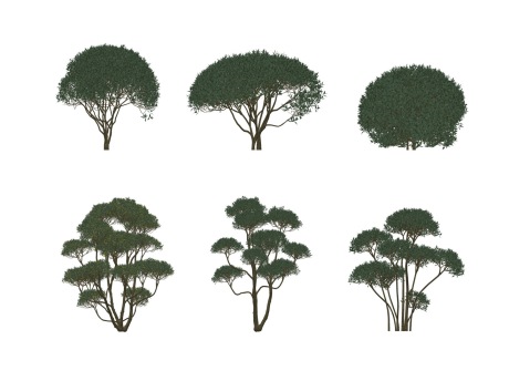 3D灌木组合SU模型