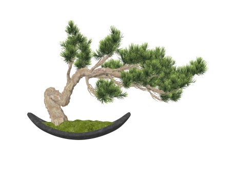 新中式松树盆栽SU模型