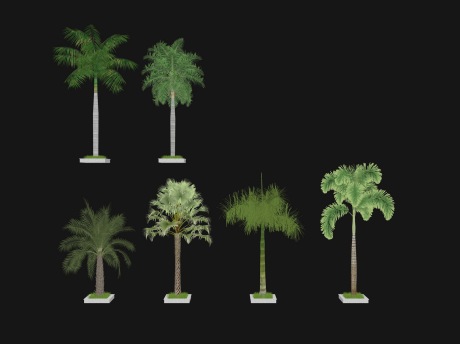 3D棕榈树SU模型