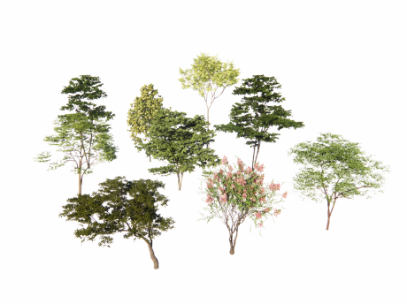 3D造型树SU模型