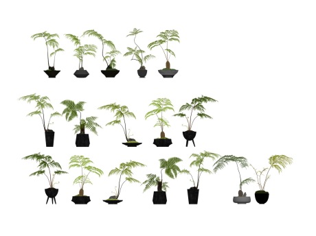 蕨类盆栽植物SU模型