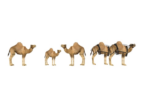 3D骆驼SU模型