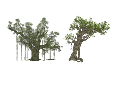 3D古树大树SU模型