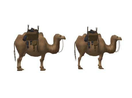 骆驼SU模型
