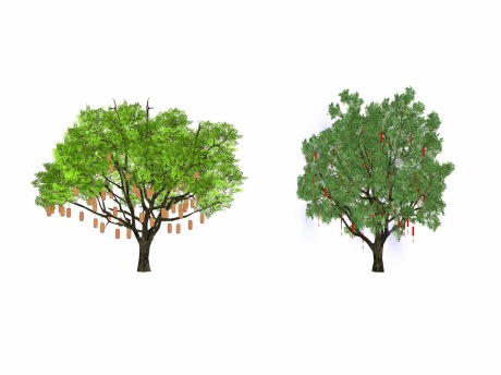 3D许愿树祈福树大树SU模型