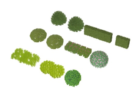 3D灌木球绿篱SU模型