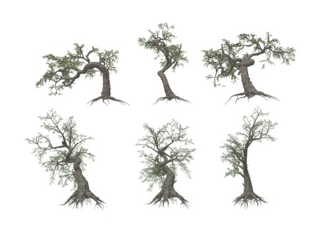 3D枯树造型树SU模型