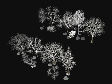 3D雪景树冬季树SU模型