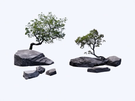 新中式石头景石SU模型