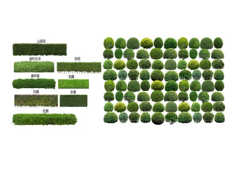 2D灌木球绿篱组合SU模型