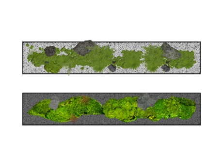 苔藓蕨类植物石头小品SU模型