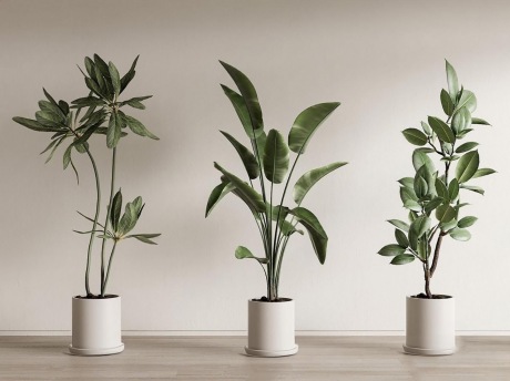 绿植盆栽SU模型